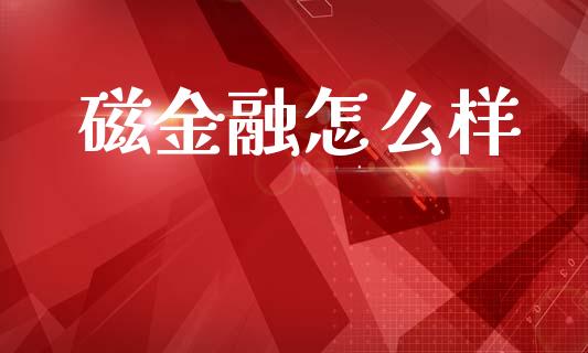 磁金融怎么样_https://wap.sdyuehang.cn_债券资讯_第1张