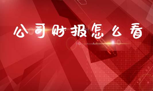 公司财报怎么看_https://wap.sdyuehang.cn_美股行情_第1张