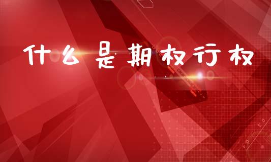 什么是期权行权_https://wap.sdyuehang.cn_产经新闻_第1张