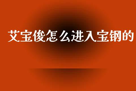 艾宝俊怎么进入宝钢的_https://wap.sdyuehang.cn_美股行情_第1张