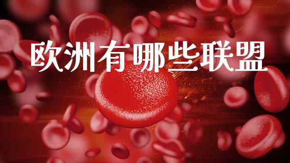 欧洲有哪些联盟_https://wap.sdyuehang.cn_产经新闻_第1张