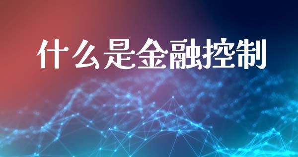 什么是金融控制_https://wap.sdyuehang.cn_新股申购_第1张