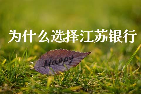 为什么选择江苏银行_https://wap.sdyuehang.cn_债券资讯_第1张