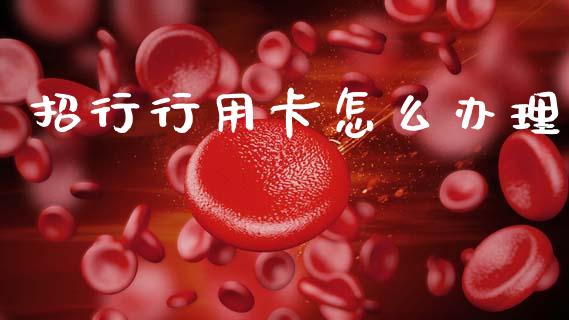 招行行用卡怎么办理_https://wap.sdyuehang.cn_新股申购_第1张