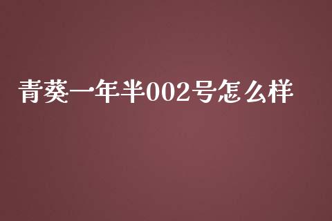 青葵一年半002号怎么样_https://wap.sdyuehang.cn_美股行情_第1张