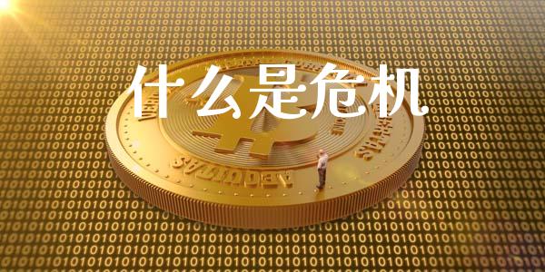 什么是危机_https://wap.sdyuehang.cn_债券资讯_第1张