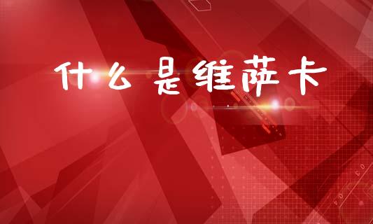 什么是维萨卡_https://wap.sdyuehang.cn_美股行情_第1张