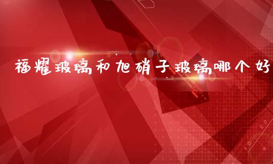 福耀玻璃和旭硝子玻璃哪个好_https://wap.sdyuehang.cn_新股申购_第1张