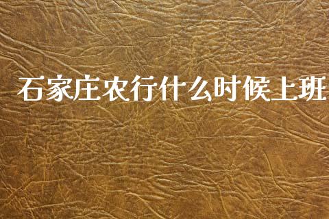 石家庄农行什么时候上班_https://wap.sdyuehang.cn_美股行情_第1张
