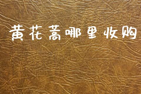 黄花蒿哪里收购_https://wap.sdyuehang.cn_新股申购_第1张