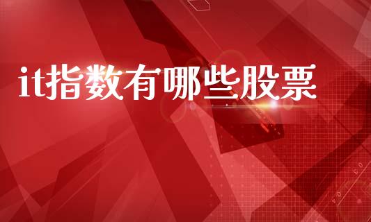 it指数有哪些股票_https://wap.sdyuehang.cn_新股申购_第1张