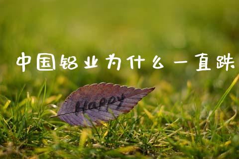 中国铝业为什么一直跌_https://wap.sdyuehang.cn_债券资讯_第1张
