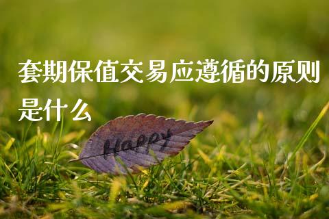 套期保值交易应遵循的原则是什么_https://wap.sdyuehang.cn_债券资讯_第1张