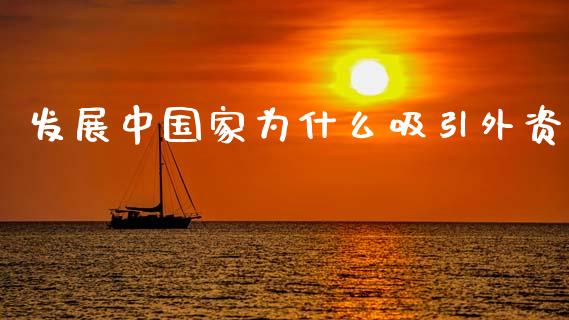 发展中国家为什么吸引外资_https://wap.sdyuehang.cn_债券资讯_第1张