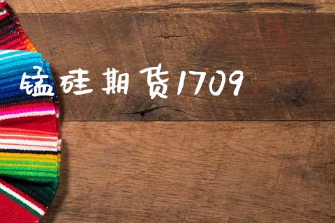 锰硅期货1709_https://wap.sdyuehang.cn_产经新闻_第1张
