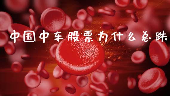 中国中车股票为什么总跌_https://wap.sdyuehang.cn_美股行情_第1张