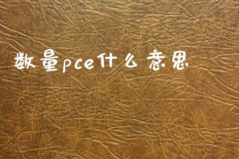 数量pce什么意思_https://wap.sdyuehang.cn_美股行情_第1张