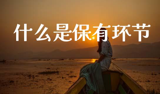 什么是保有环节_https://wap.sdyuehang.cn_债券资讯_第1张