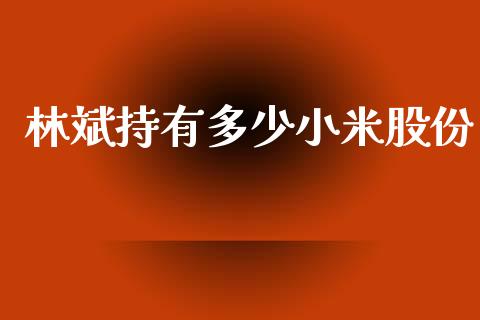 林斌持有多少小米股份_https://wap.sdyuehang.cn_美股行情_第1张