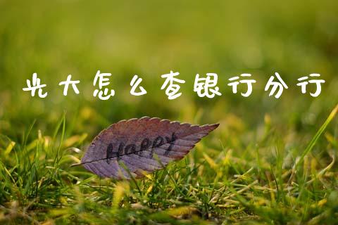 光大怎么查银行分行_https://wap.sdyuehang.cn_债券资讯_第1张