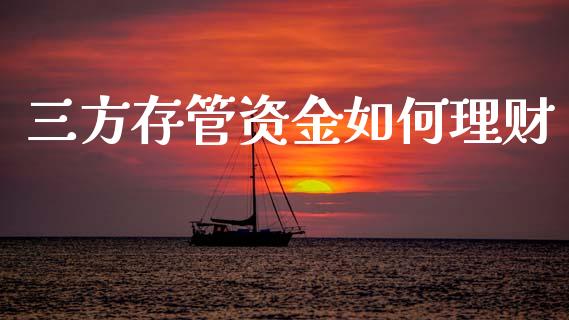 三方存管资金如何理财_https://wap.sdyuehang.cn_新股申购_第1张
