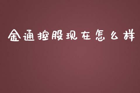 金通控股现在怎么样_https://wap.sdyuehang.cn_债券资讯_第1张