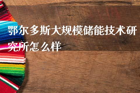 鄂尔多斯大规模储能技术研究所怎么样_https://wap.sdyuehang.cn_产经新闻_第1张