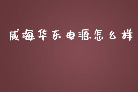 威海华东电源怎么样_https://wap.sdyuehang.cn_美股行情_第1张