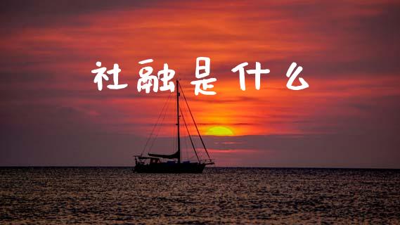 社融是什么_https://wap.sdyuehang.cn_新股申购_第1张