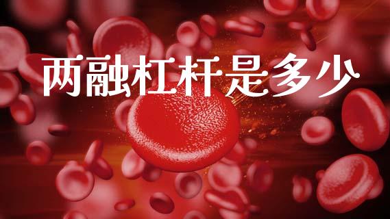 两融杠杆是多少_https://wap.sdyuehang.cn_产经新闻_第1张