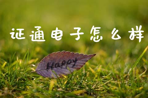 证通电子怎么样_https://wap.sdyuehang.cn_产经新闻_第1张