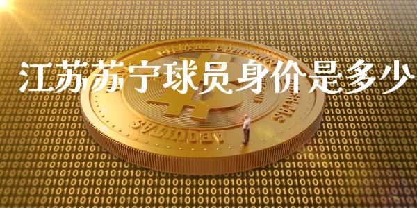 江苏苏宁球员身价是多少_https://wap.sdyuehang.cn_债券资讯_第1张
