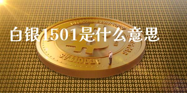 白银1501是什么意思_https://wap.sdyuehang.cn_美股行情_第1张