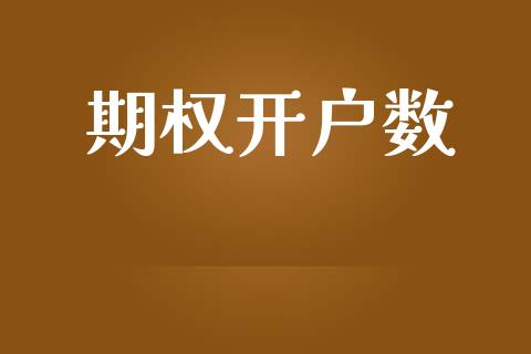 期权开户数_https://wap.sdyuehang.cn_债券资讯_第1张