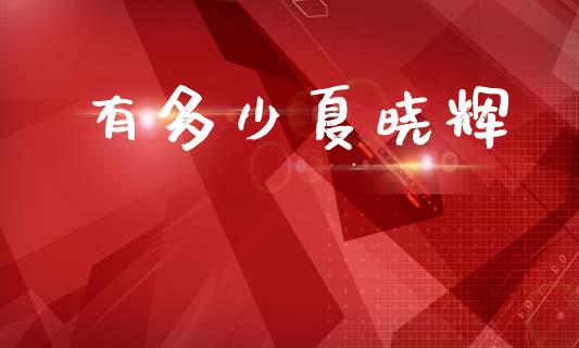 有多少夏晓辉_https://wap.sdyuehang.cn_美股行情_第1张