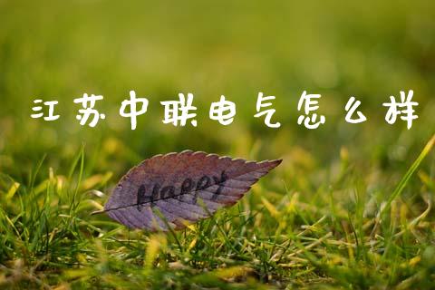 江苏中联电气怎么样_https://wap.sdyuehang.cn_新股申购_第1张
