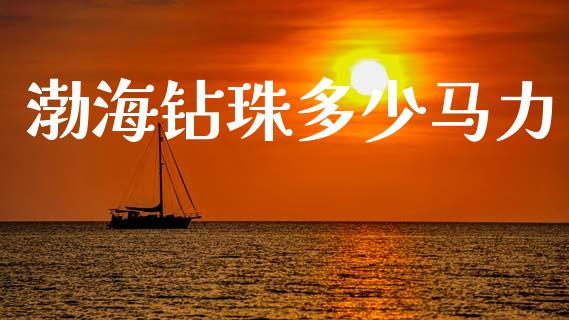 渤海钻珠多少马力_https://wap.sdyuehang.cn_新股申购_第1张