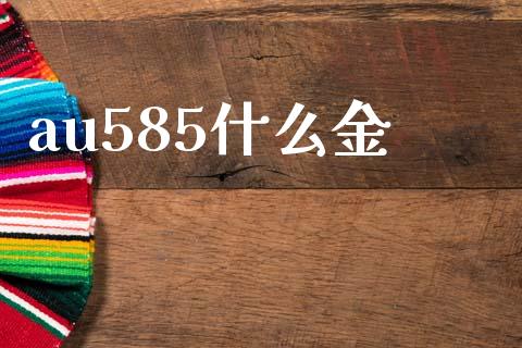 au585什么金_https://wap.sdyuehang.cn_债券资讯_第1张