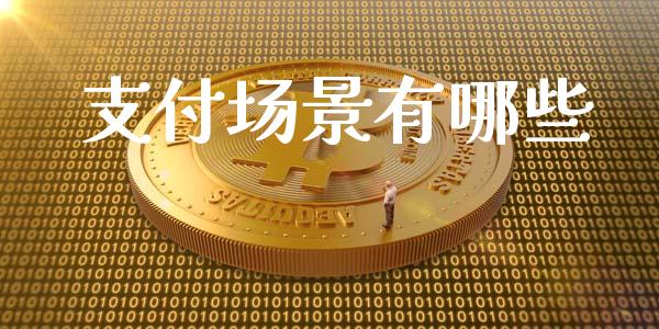 支付场景有哪些_https://wap.sdyuehang.cn_美股行情_第1张