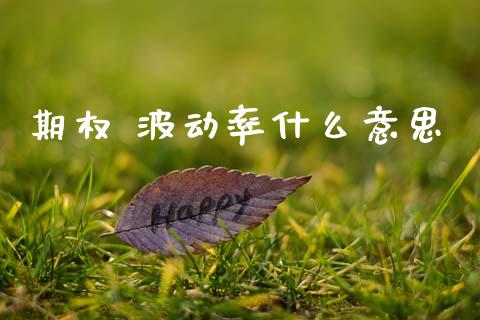 期权 波动率什么意思_https://wap.sdyuehang.cn_债券资讯_第1张