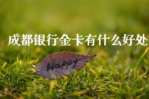 成都银行金卡有什么好处_https://wap.sdyuehang.cn_债券资讯_第1张