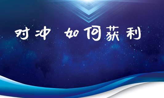 对冲 如何获利_https://wap.sdyuehang.cn_产经新闻_第1张