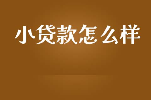 小贷款怎么样_债券资讯_第1张_产经新闻_债券资讯_新股申购_美股行情 小贷款怎么样_https://wap.sdyuehang.cn_债券资讯_第1张