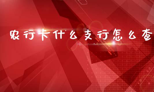 农行卡什么支行怎么查_https://wap.sdyuehang.cn_美股行情_第1张