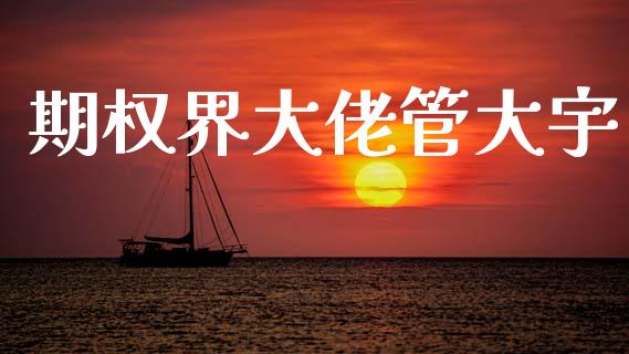 期权界大佬管大宇_https://wap.sdyuehang.cn_产经新闻_第1张