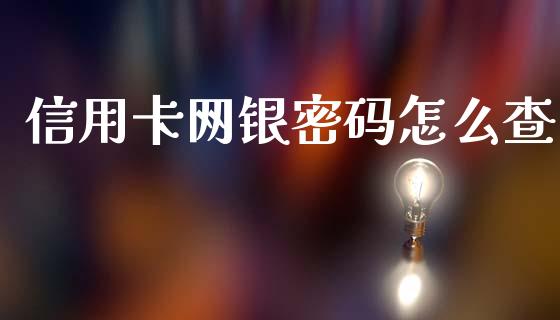 信用卡网银密码怎么查_https://wap.sdyuehang.cn_美股行情_第1张