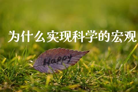 为什么实现科学的宏观_https://wap.sdyuehang.cn_产经新闻_第1张