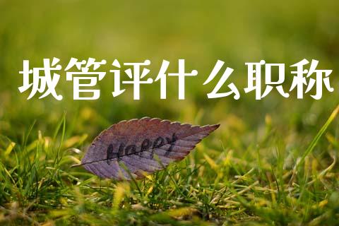 城管评什么职称_https://wap.sdyuehang.cn_债券资讯_第1张