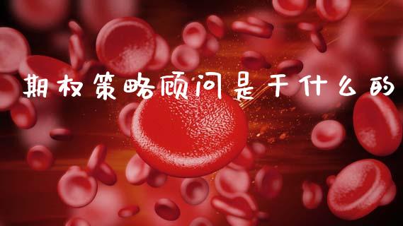 期权策略顾问是干什么的_https://wap.sdyuehang.cn_美股行情_第1张
