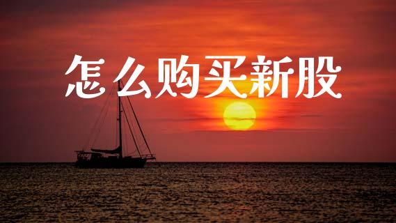 怎么购买新股_https://wap.sdyuehang.cn_产经新闻_第1张